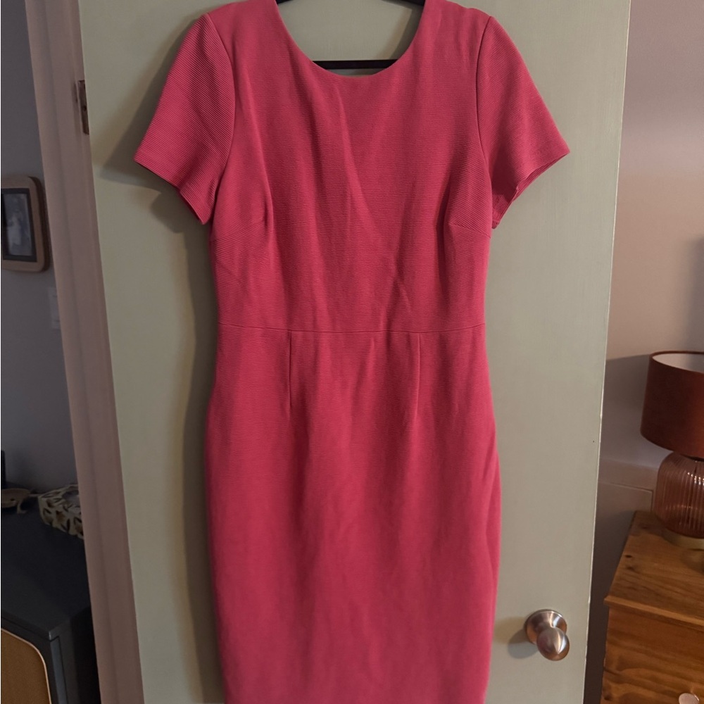 Elegant Pink Women's Dress